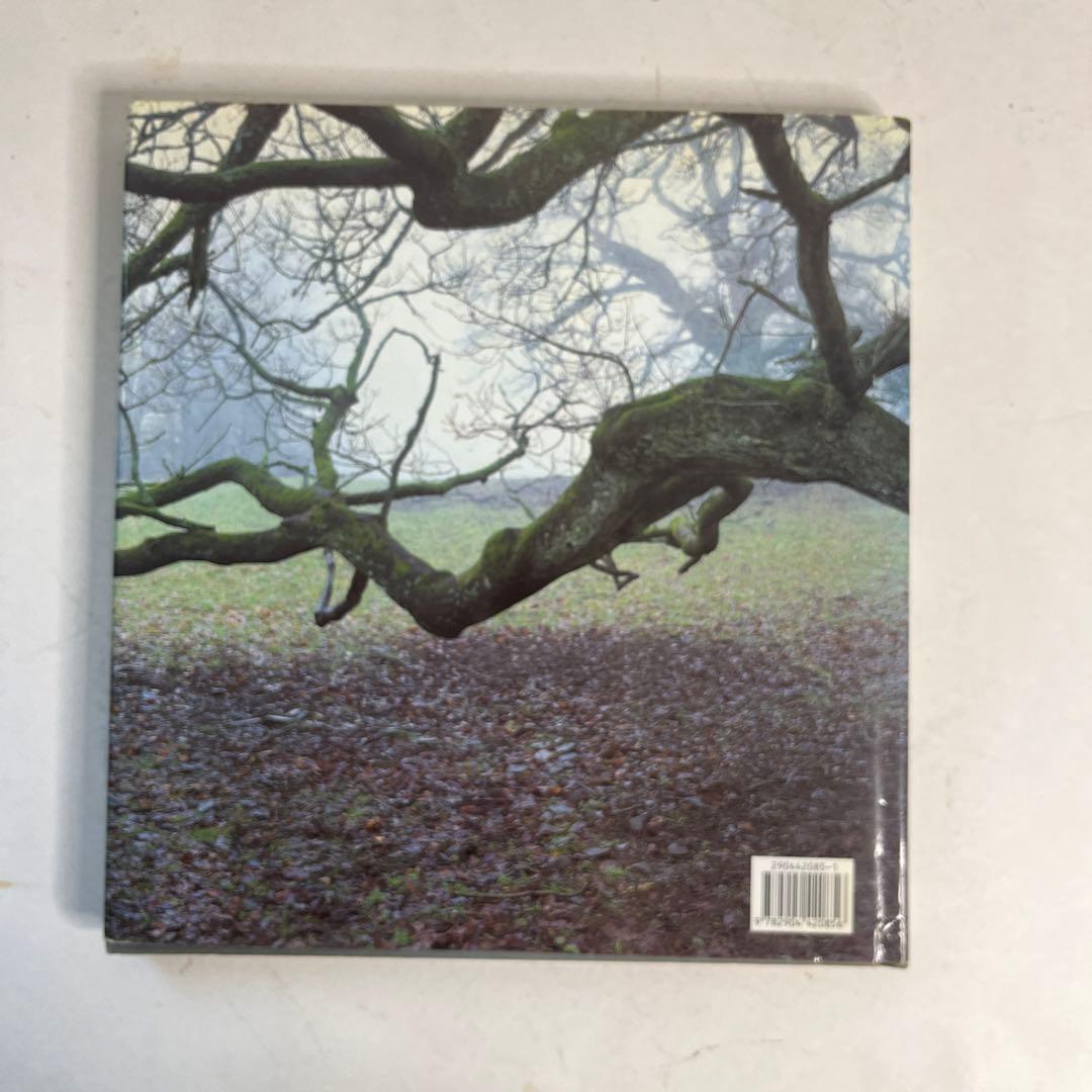 現代美術家アンディゴールズウォスリイ写真集 ボイス