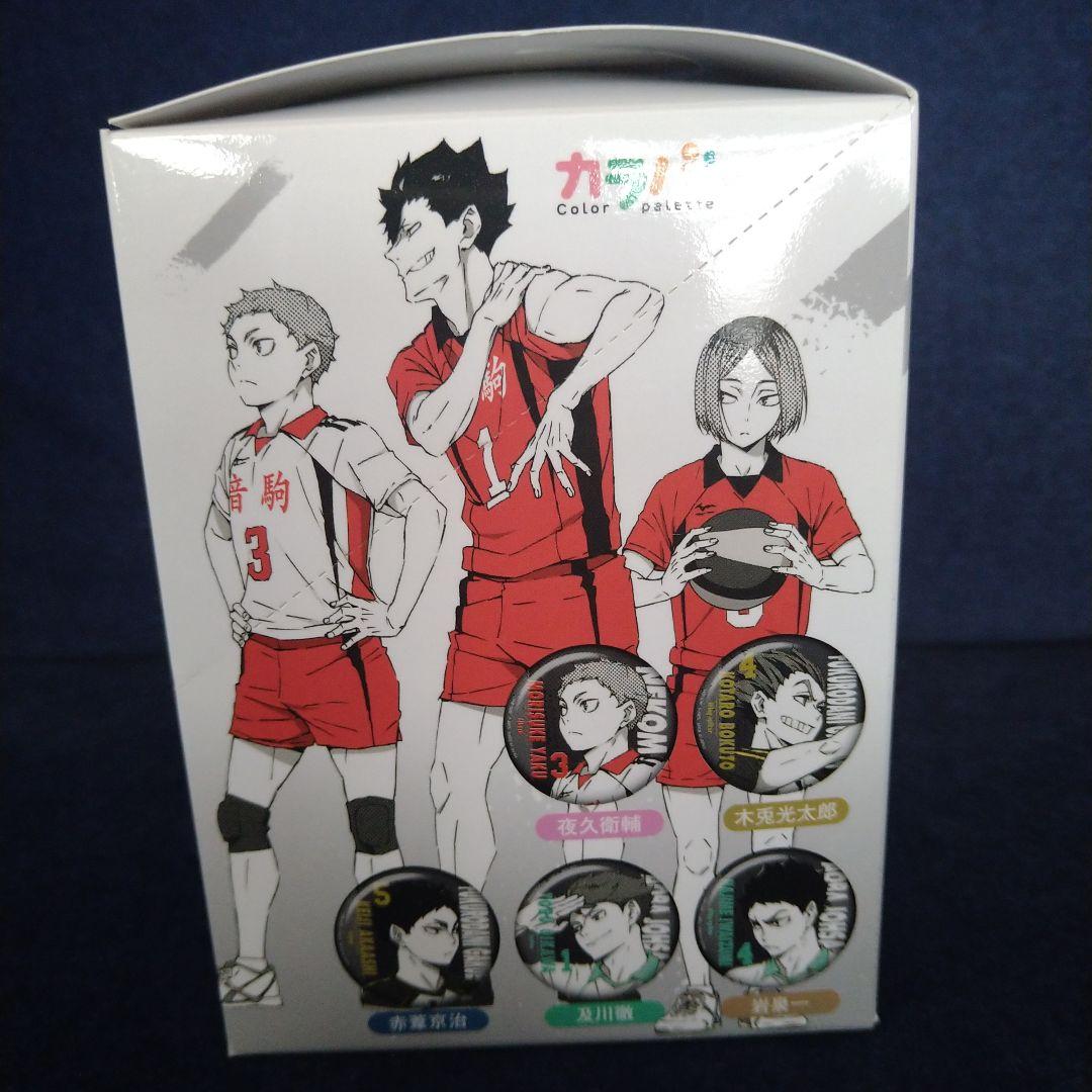 ハイキュー!!缶バッジ全10種　ポートレート　カラパレ　BOX