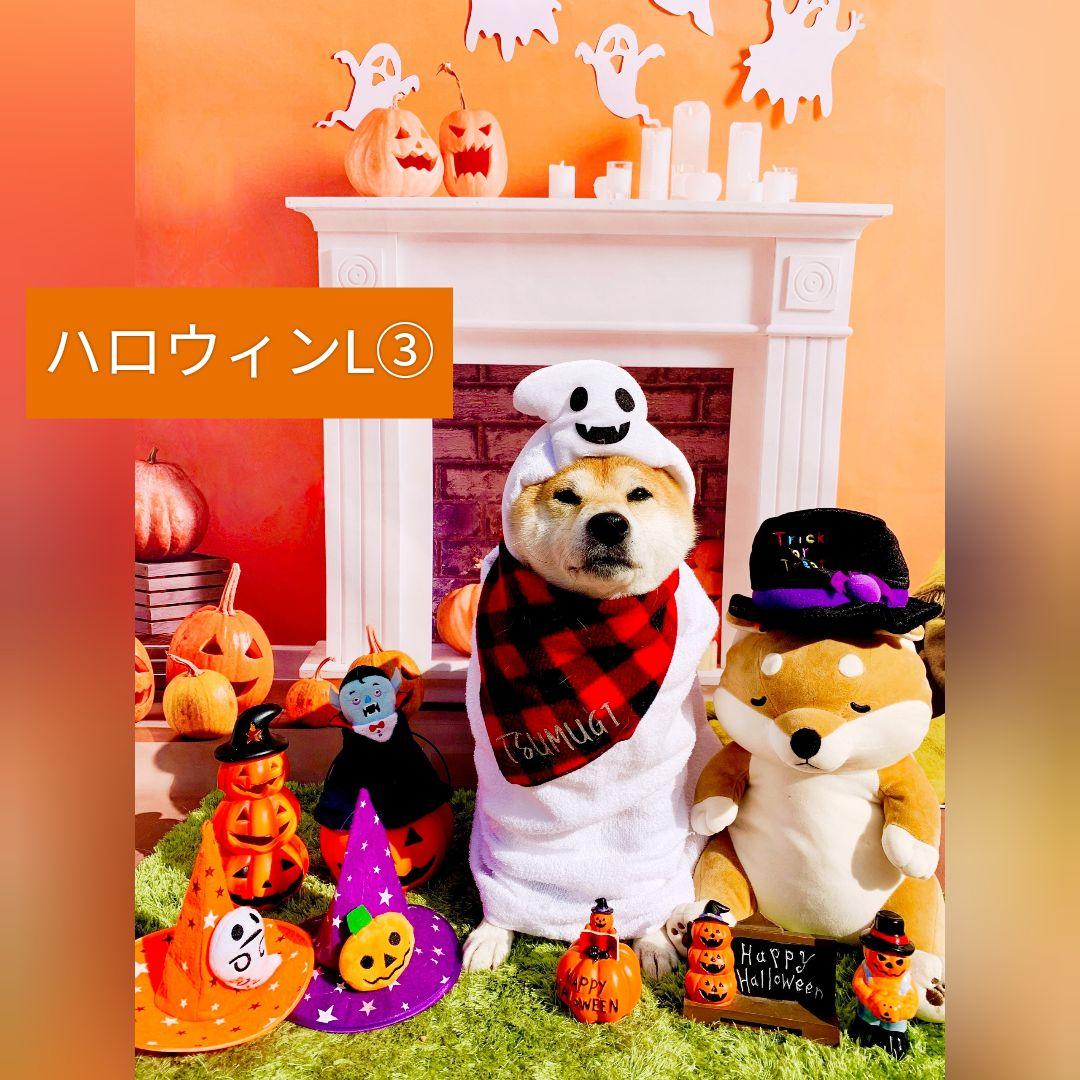 業務用トリミングチョーカー+背景布 ペット撮影用フォトブース ハロウィン