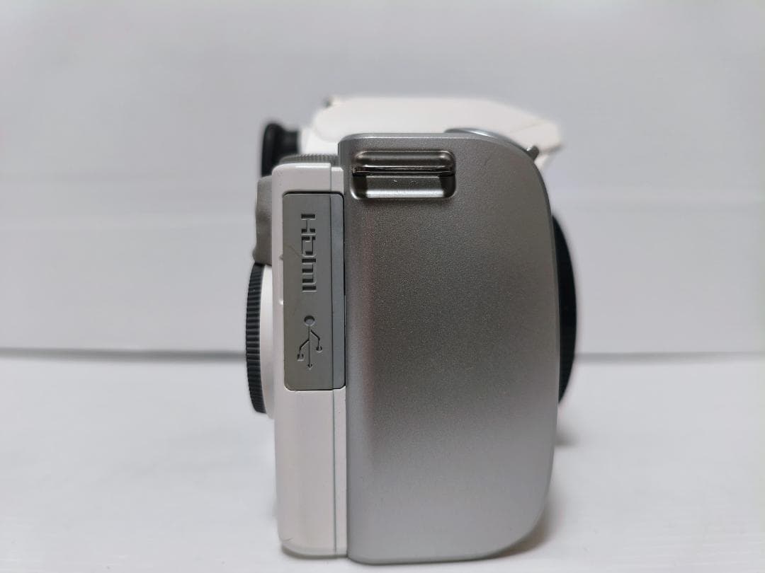 黒死病修理済】PENTAX K-S1 ダブルズーム