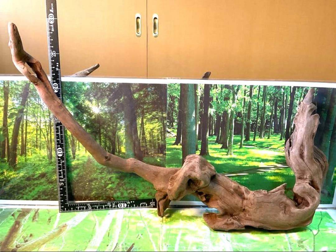 けすけ様　ご提案用　天然水槽用流木　沈水確認済み