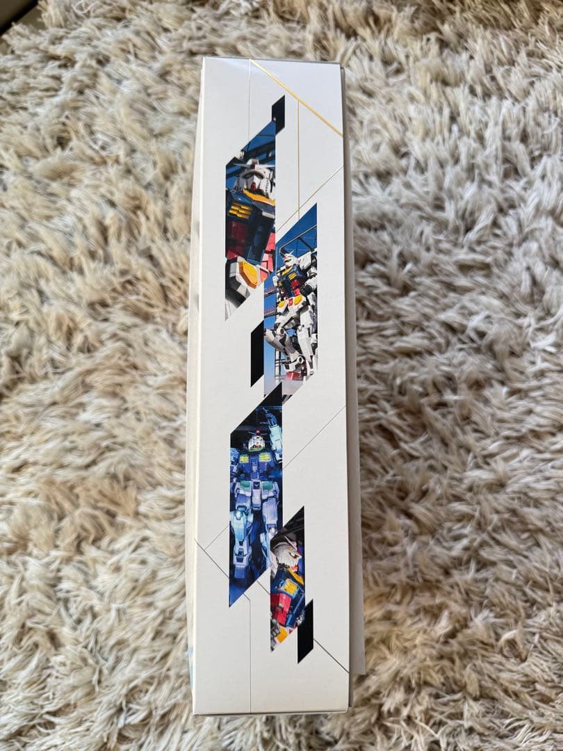 ガンダムファクトリー横浜グランドファイナル 1/144 RX-78F00