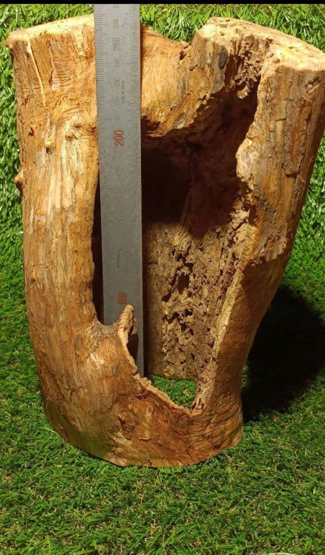 しょーきちページ