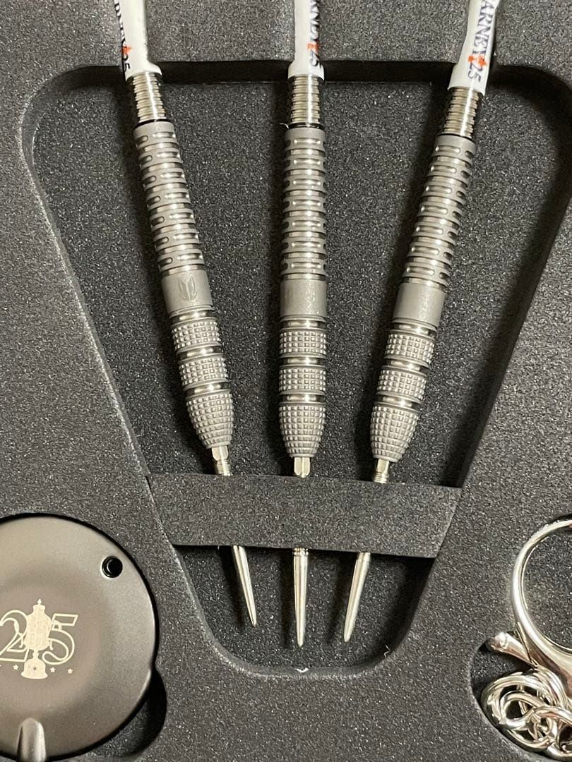 【ターゲット】バーニー　レイモンド・ヴァン・バーナベルドモデル スイスポイント