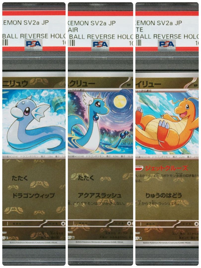 PSA10】3連番 ミニリュウ ハクリュー カイリュー マスタ