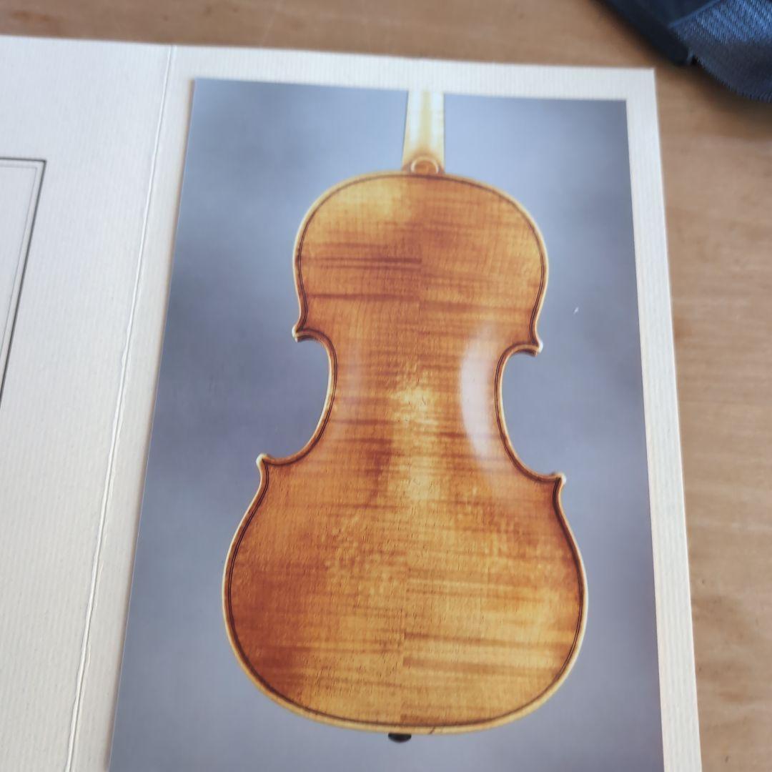 鑑定書有りVioline B. Guadagnini バイオリン PG803E