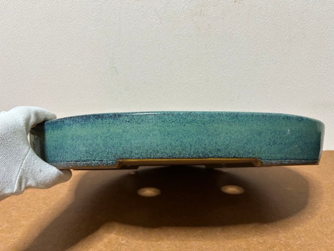 碧水　盆栽鉢　山野草