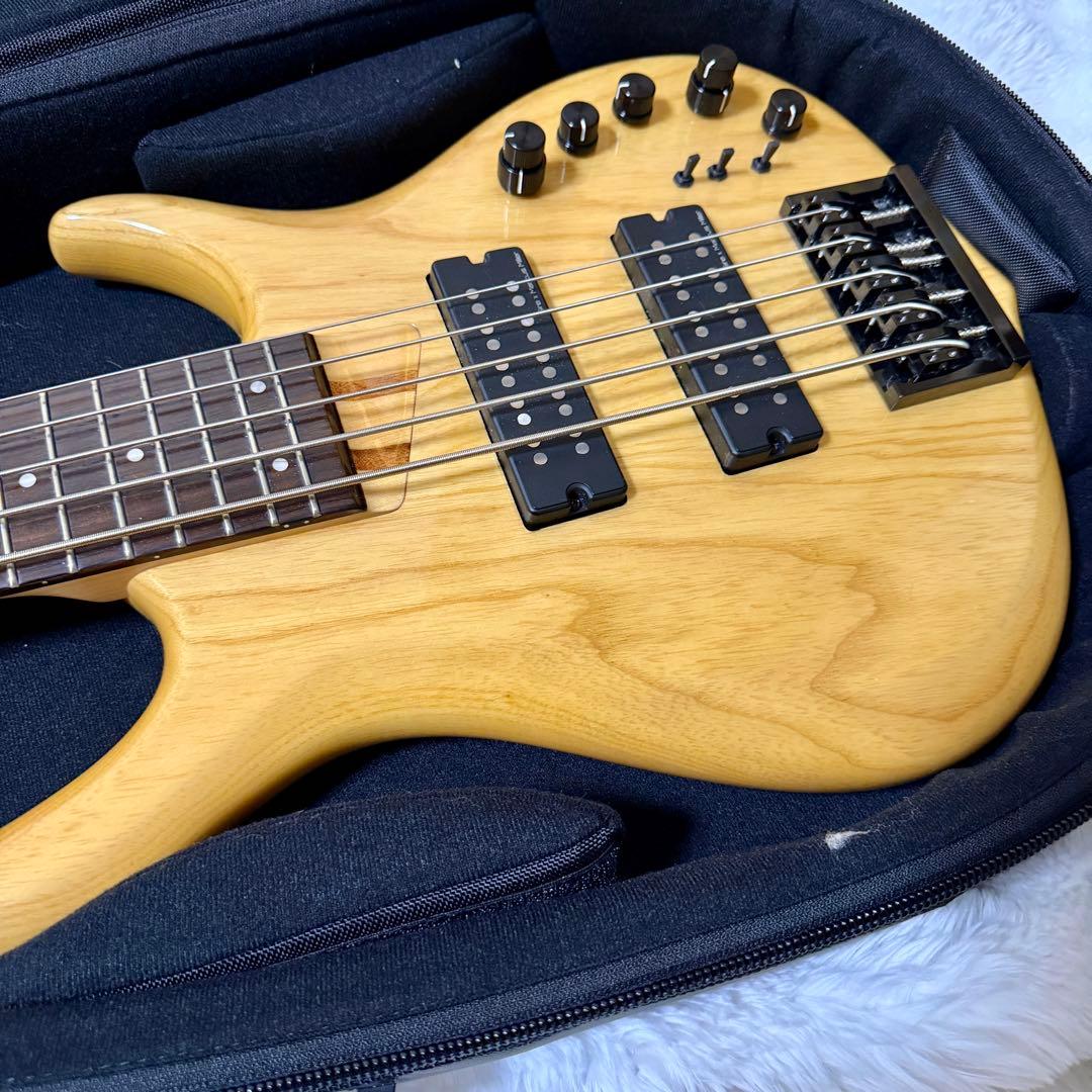 Sire M5 Ash-5NT エレキベース 専用ケース付 軽量 - メルカリ