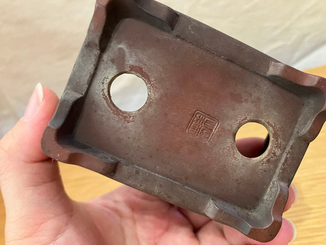 美芸 常滑 盆栽鉢 長方形 彫入り