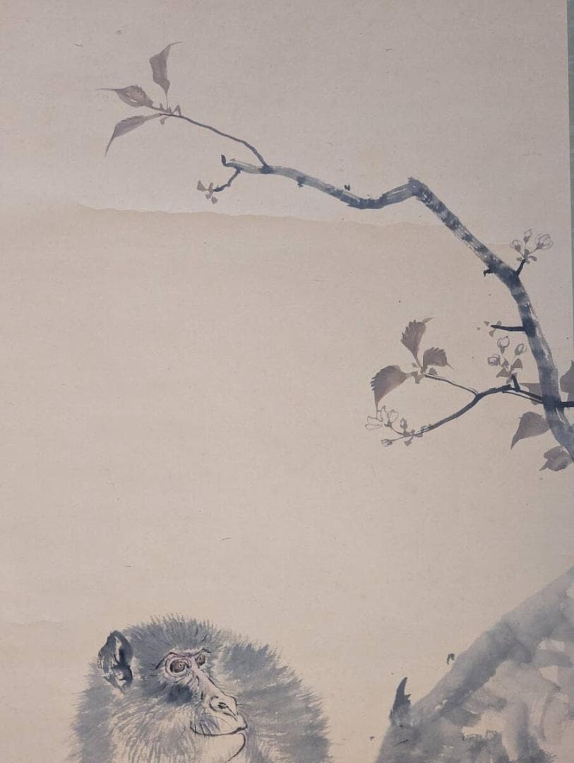 【真作】掛軸　池上秀畝　猿と春枝　水墨動物画　気品ある動物表現　共箱入　T97
