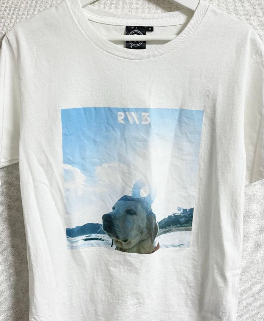 ジャケットTシャツ RADWIMPS 3～無人島に持っていき忘れた一枚～ M