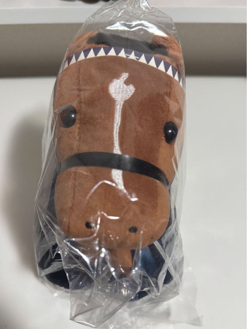 アイドルホース ドウデュース welcomeチャンス 2024ジャパンカップ