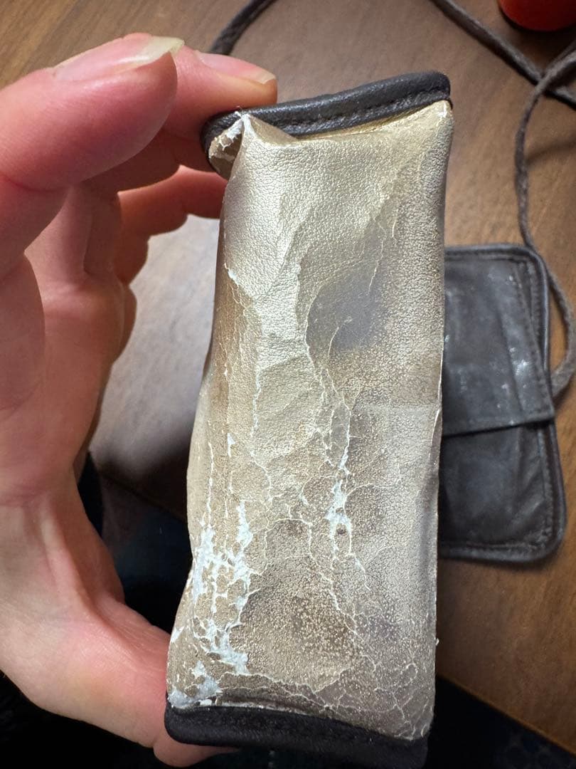 白鳳堂　黒檀携帯ミニセットときのこブラシ　(7本+ケース付)極小!