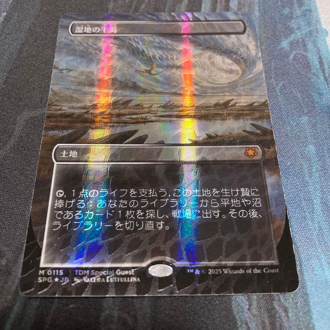 mtg 湿地の干潟 ドラゴンスケイルFoil 湿地の干潟 ドラゴンスケイルFOIL 日本語 MTG ドラゴンスケイルfoil