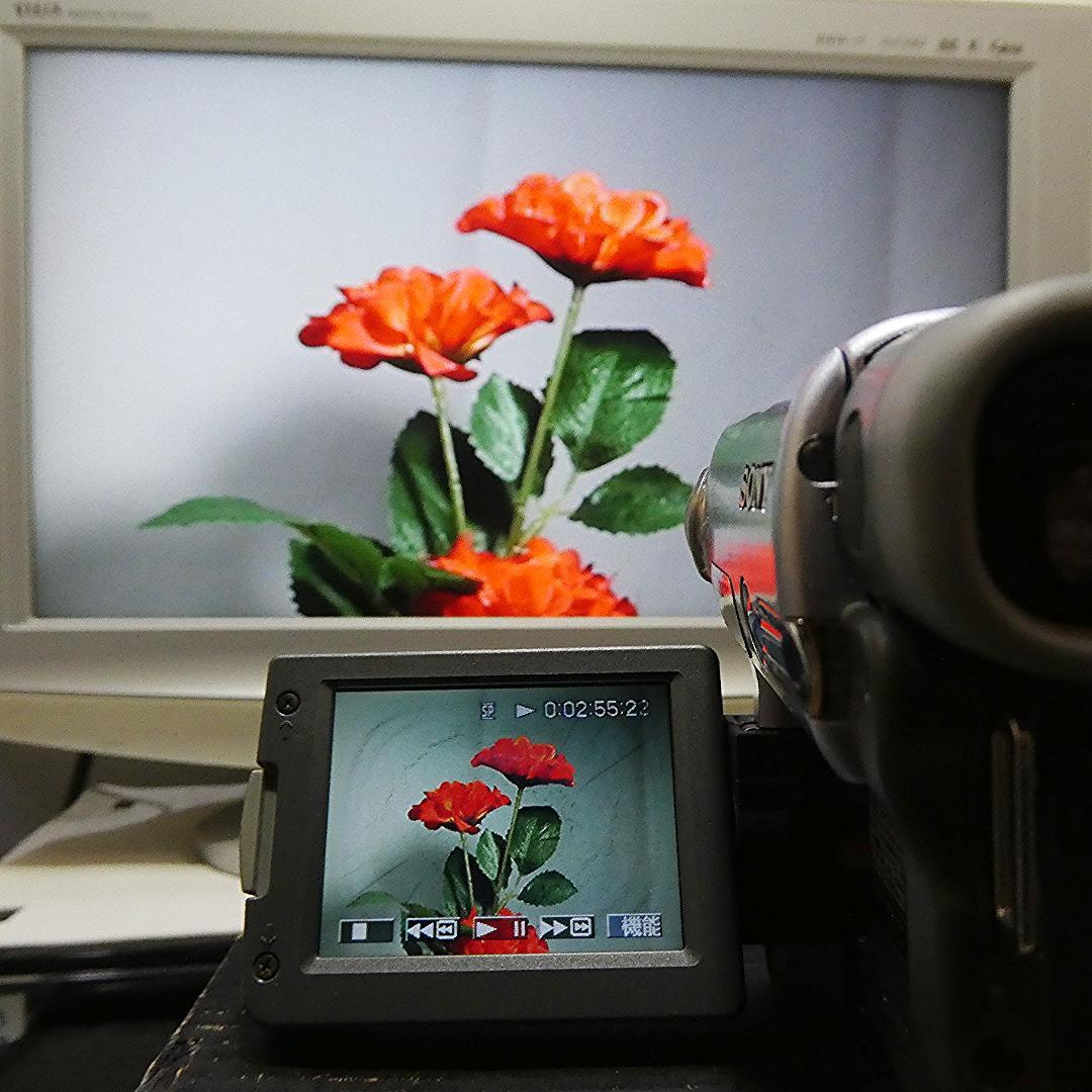 動作品 ソニーDCR-TYV22 MiniDV ビデオカメラ DVDダビングに