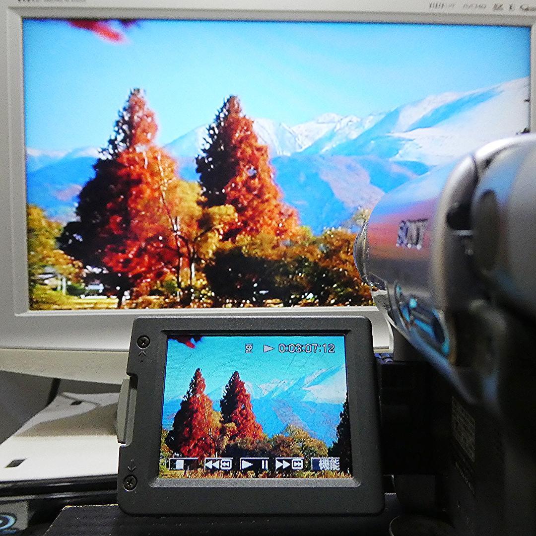 動作品 ソニーDCR-TYV22 MiniDV ビデオカメラ DVDダビングに