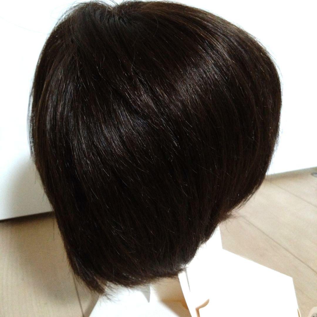 ジュリアオージェ アートネイチャーウイッグ JO/HM2 DE6 M