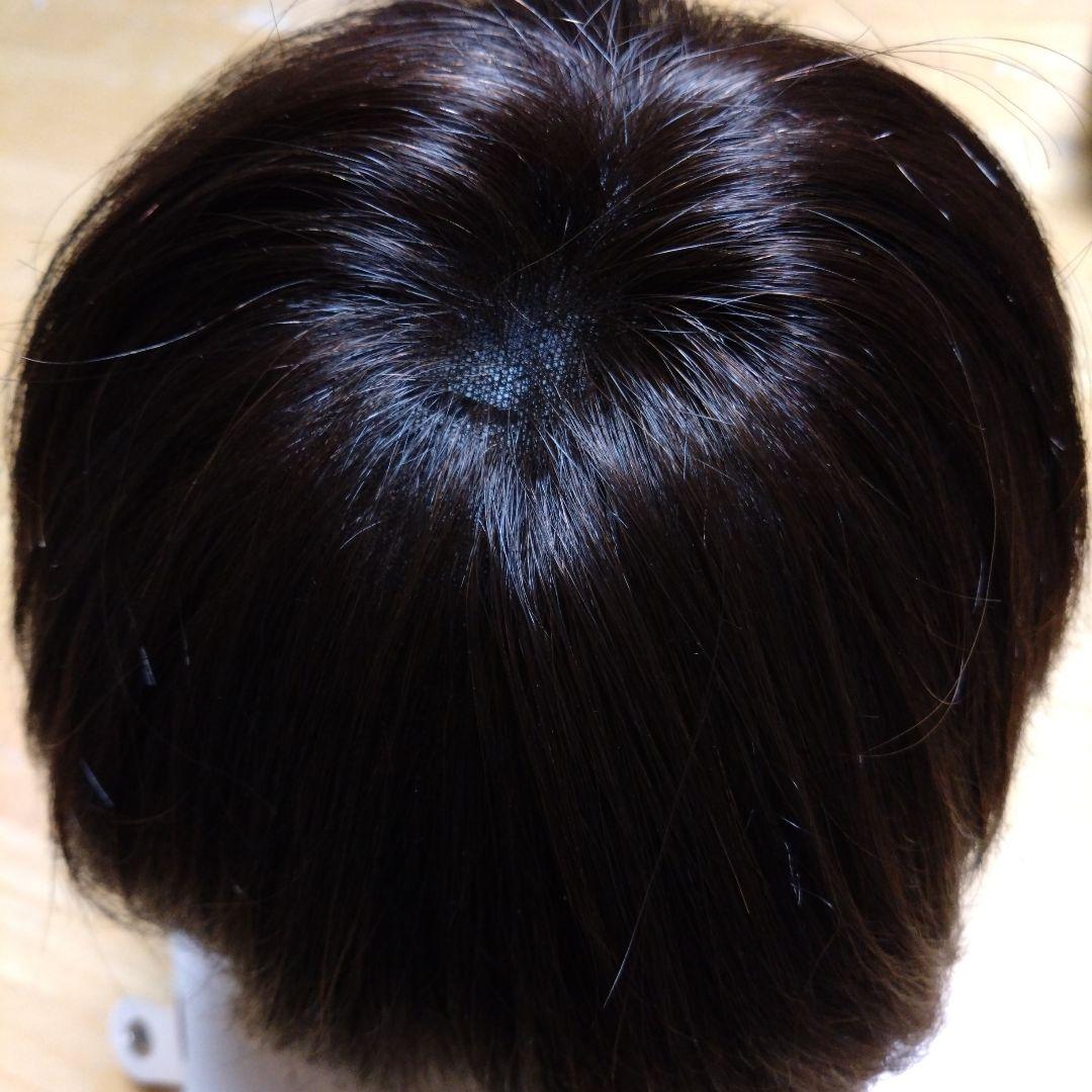 ジュリアオージェ アートネイチャーウイッグ JO/HM2 DE6 M