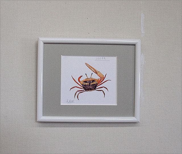 生物細密画（水彩）「シオマネキ」