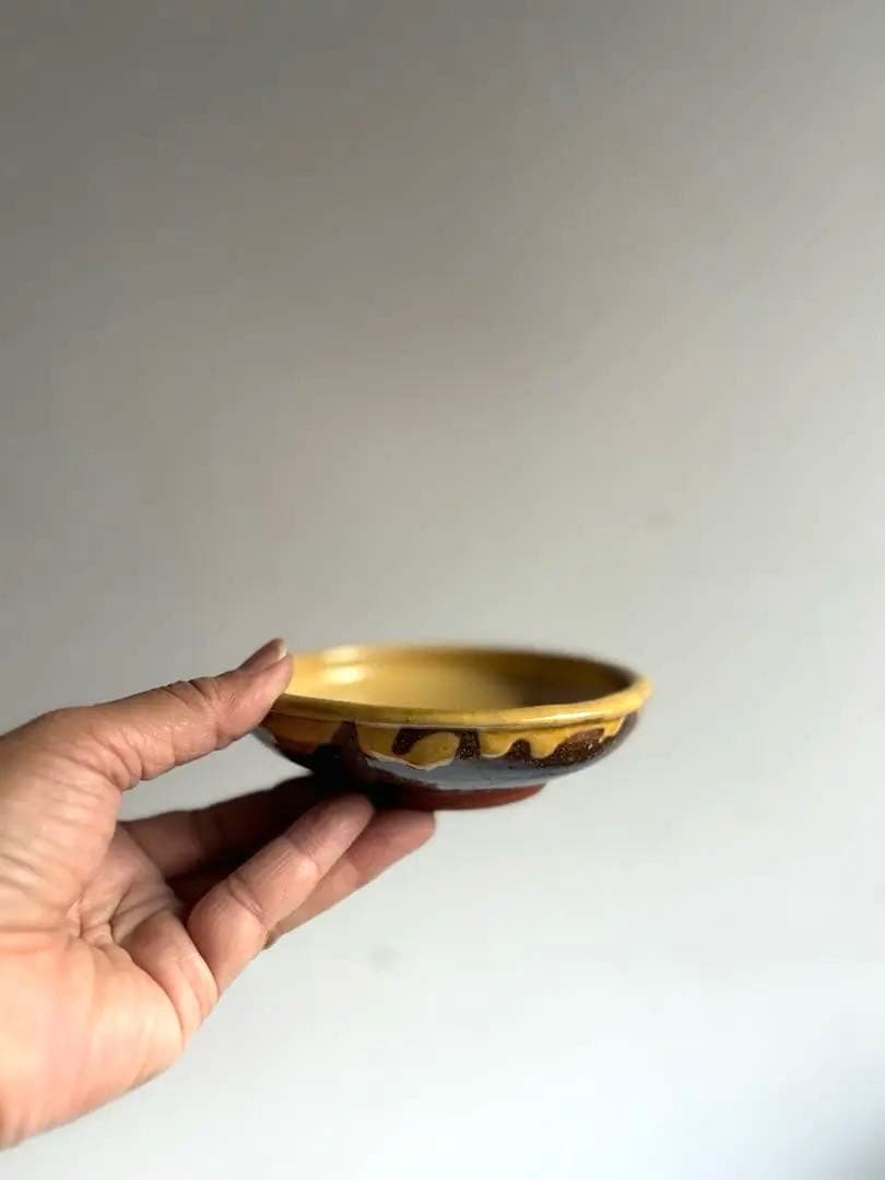 763 骨董 アンティーク 布志名焼 ガレナ釉皿 5点 民芸 柳宗悦 美品 明治