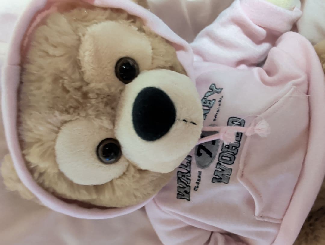 WDW☆ ピンクパーカー ダッフィーぬいぐるみ ☆☆タン毛