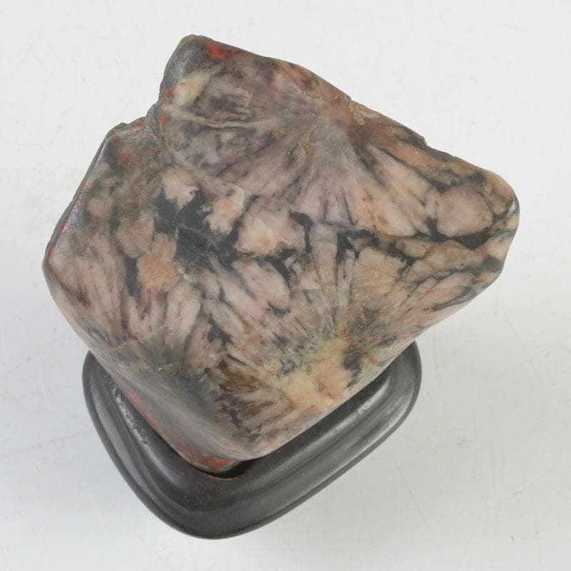 岐阜県根尾谷産 天然石 鑑賞石 菊花石 唐木台付 書付共箱 V 9425