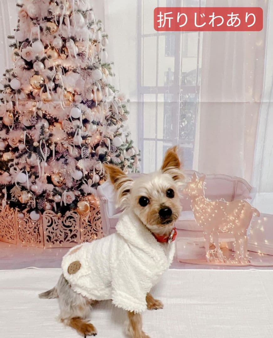 背景布【お正月I】サンプル 縦長 ペット撮影用ブース年賀状 梅の花 和柄