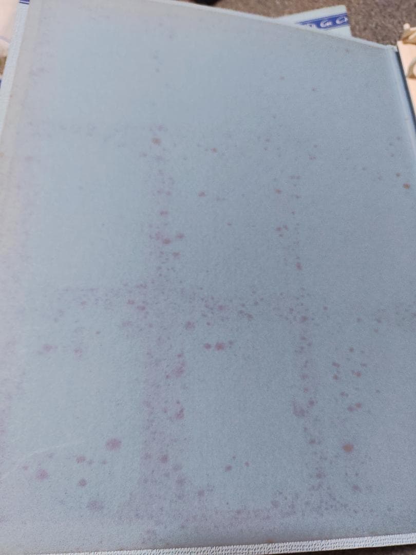 ☆フルコンプ込 トレカ175枚 + バインダー2冊 まとめて デジキャラット