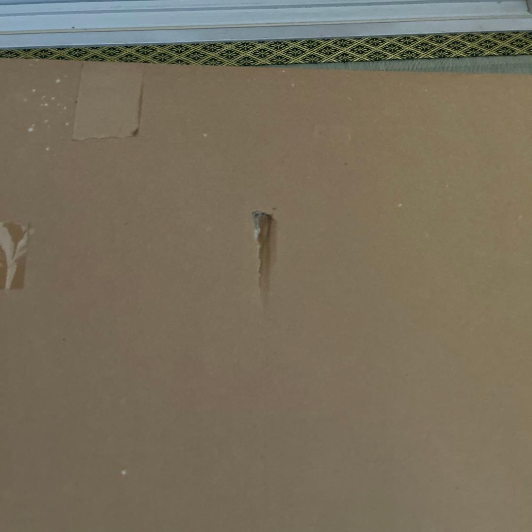 アリエルシルエットデビッドウィラードソン【レア番号】