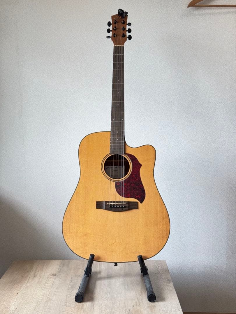アコースティックギター ドレッドノートタイプ ナチュラル