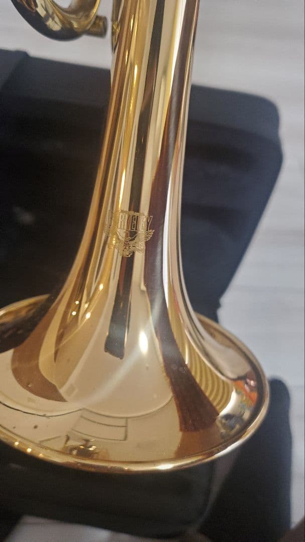 【最終価格】Berkeley Wind Es/D管トランペット