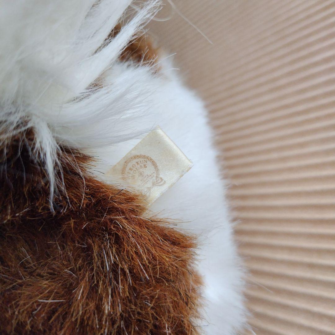 HIROKUN HOUSE ヒロクンハウス セントバーナード ぬいぐるみ