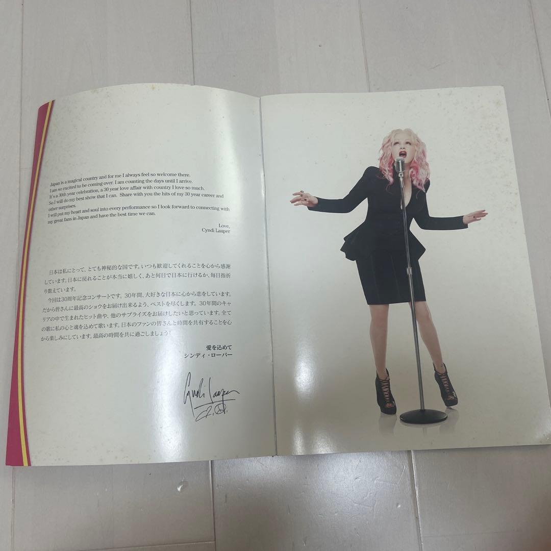 【絶版】希少 Cyndi Lauper 30周年記念ツアー 2015パンフレット