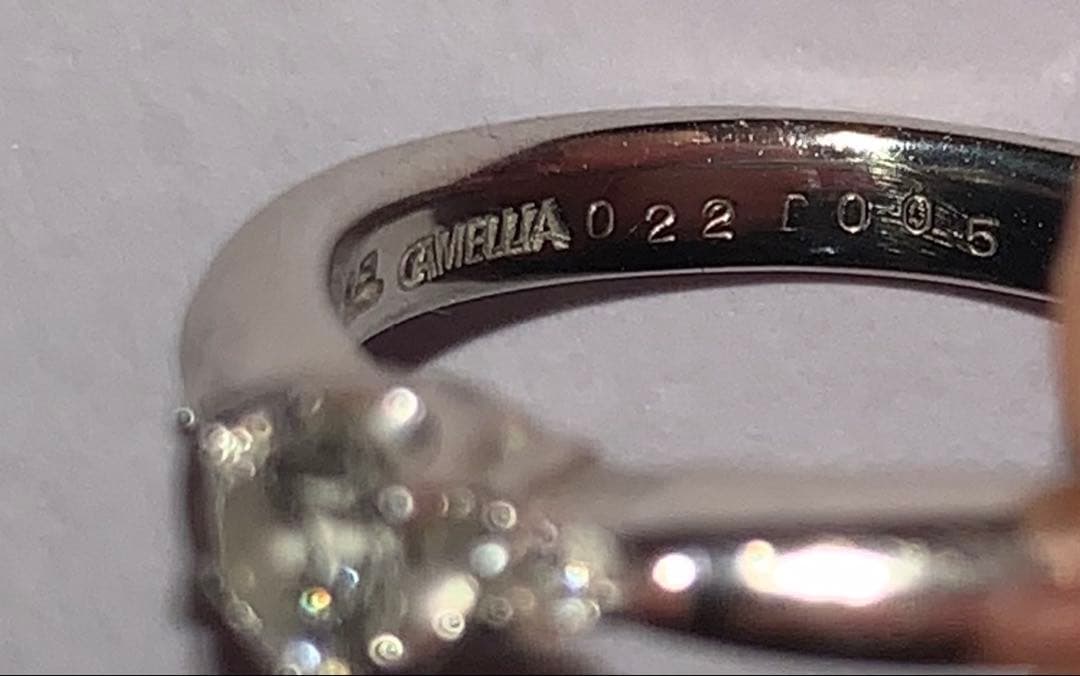 アクセサリー T ANZ