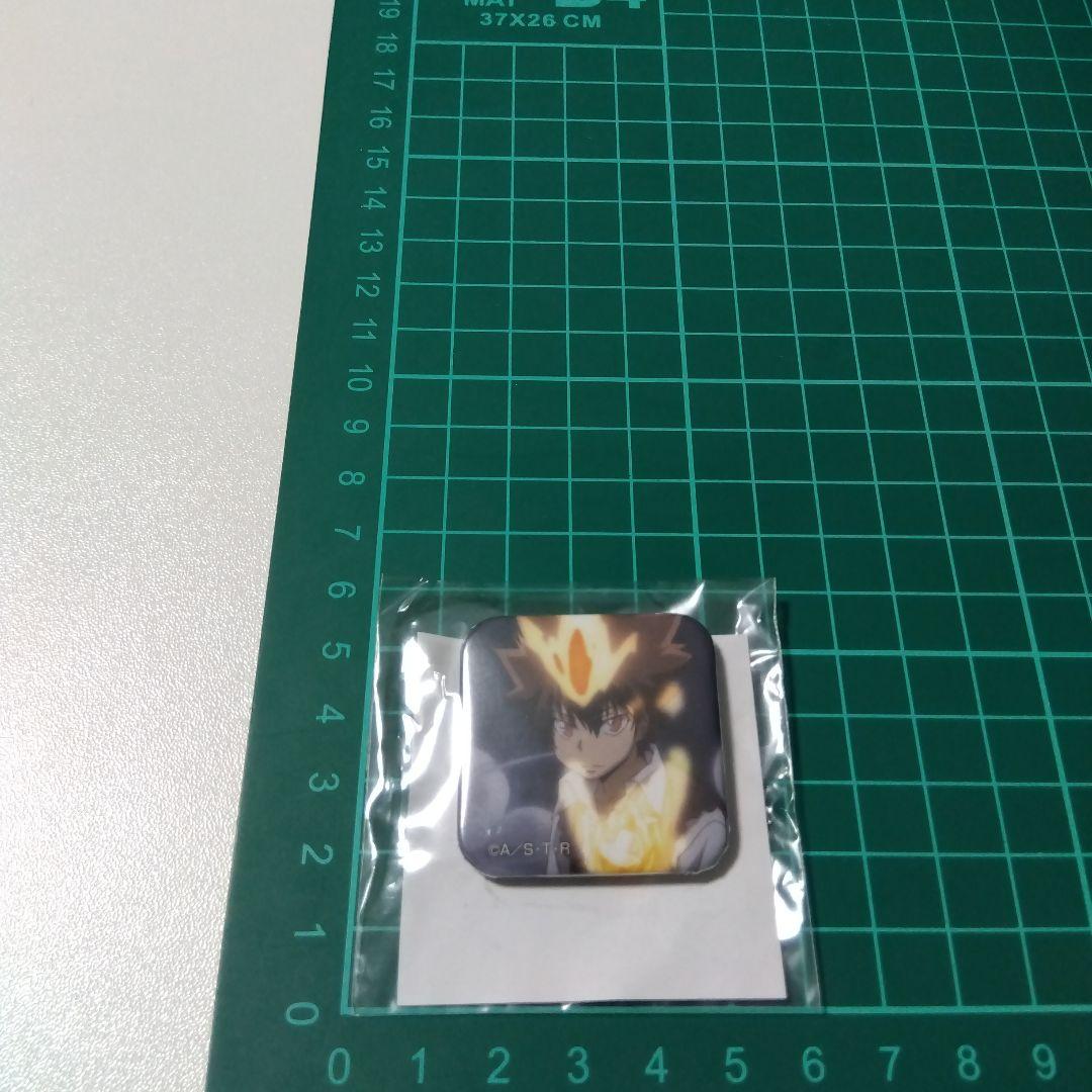 REBORN!】沢田綱吉 ツナ キャラポップストア ガラポン 缶バッジ - メルカリ