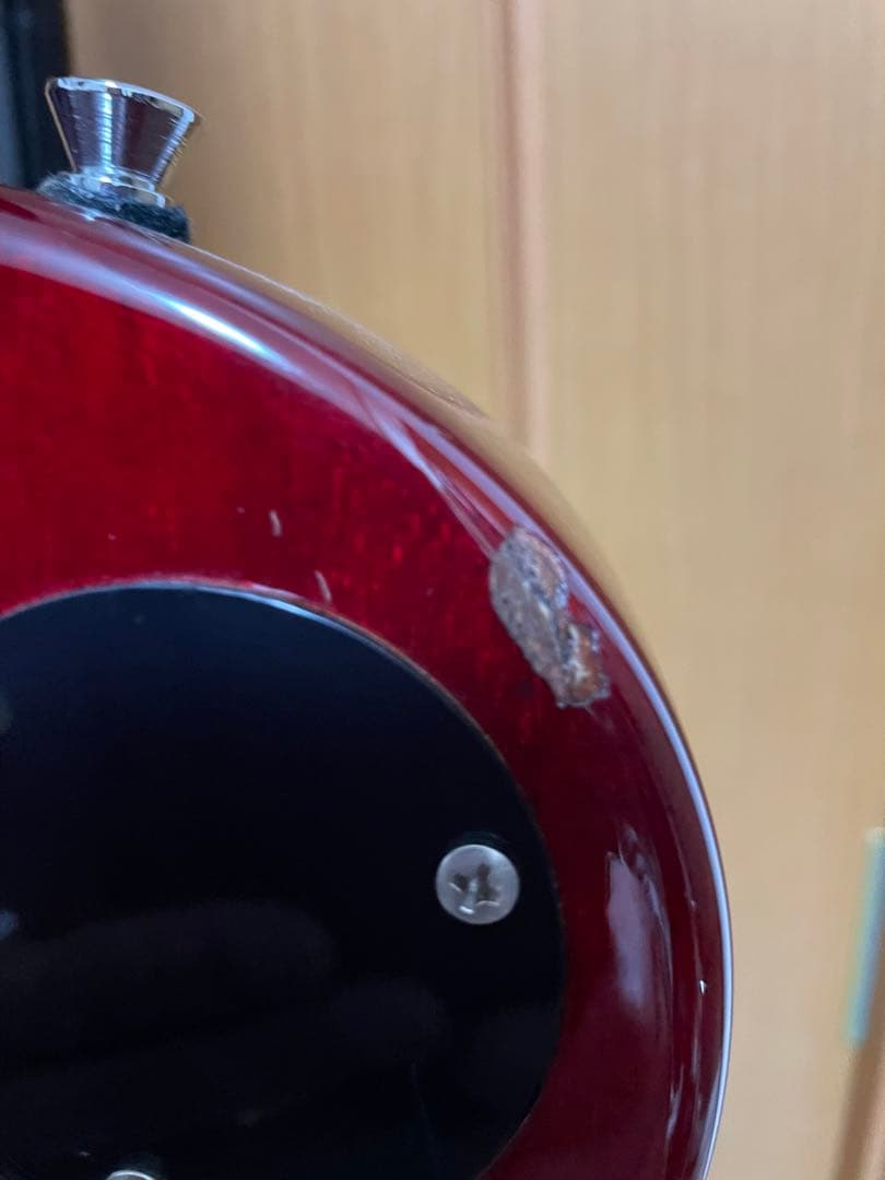 再再値下げバッカス レスポールタイプ EMG-HZ トレモロユニット搭載