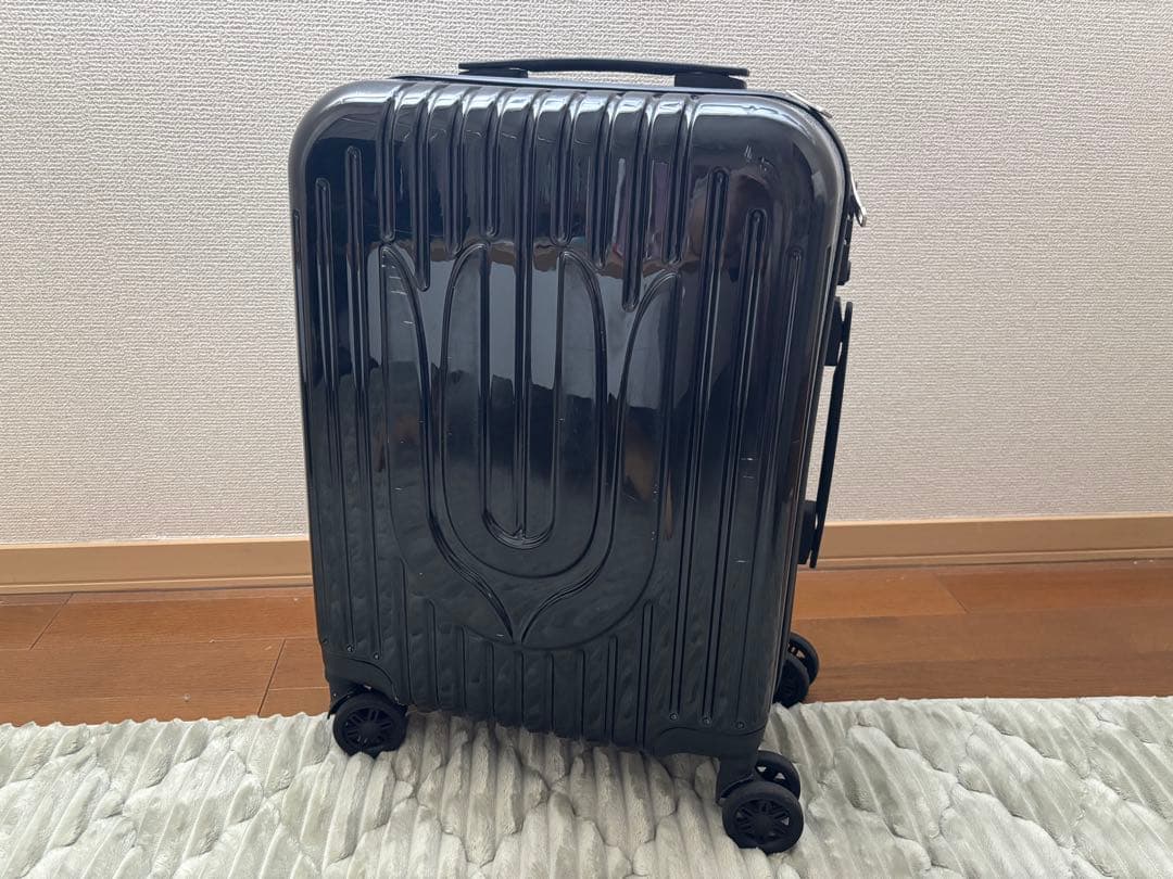 ユニゾンスクエアガーデン キャリーケース