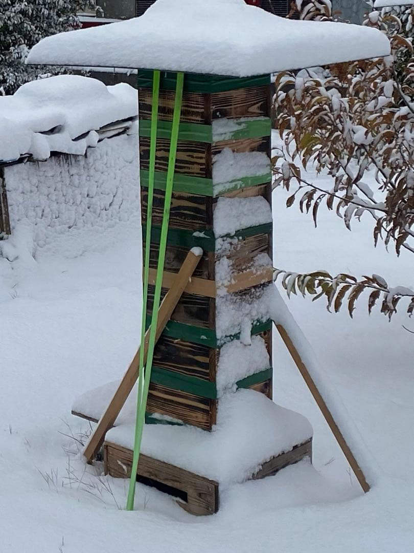 日本ミツバチ重箱式巣箱 捕獲飼育用