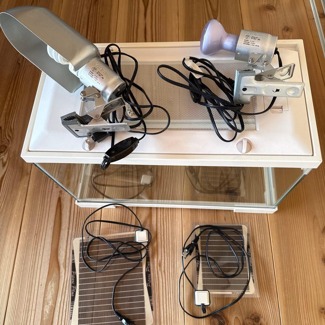 爬虫類　飼育セット　エキゾテラ Amazon | エキゾテラ GEX EXOTERRA フトアゴヒゲトカゲ&リクガメ飼育