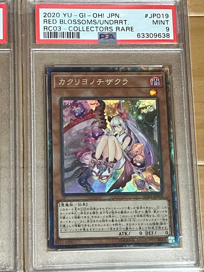 遊戯王　コレクターズレア　PSA 灰流うらら　浮幽さくら　儚夢みずき　幽鬼うさぎ
