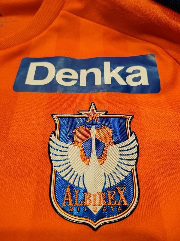 アルビレックス新潟 堀米 悠斗 ユニフォーム Lサイズ