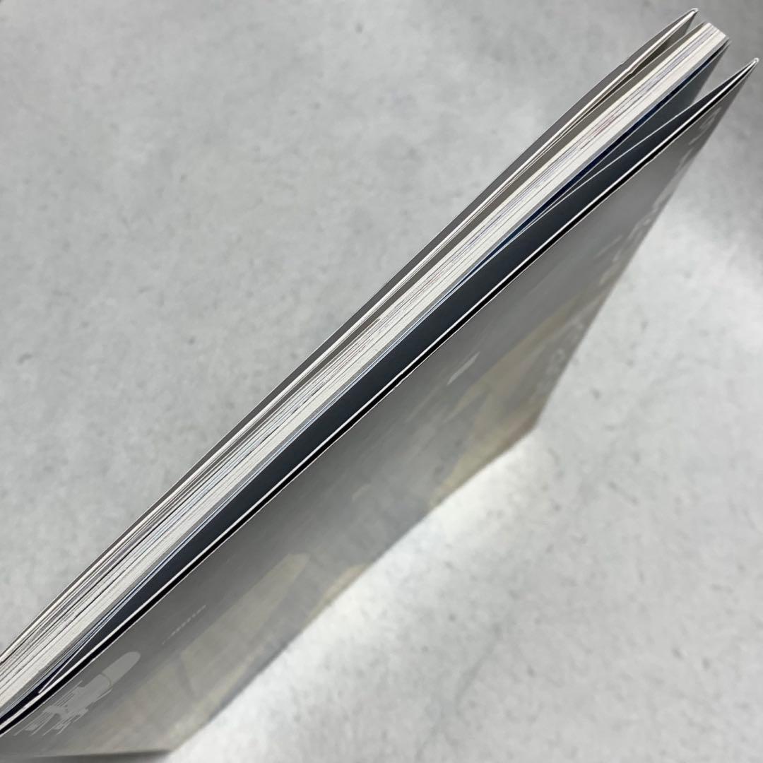 CHANEL シャネル マガジン セーラームーン 武内直子　描き下ろし原画収録