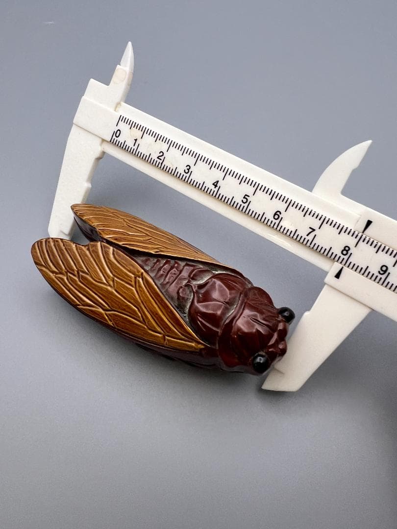 【海】香合　蝉　般若勉作　（号　雲舟）茶器　茶道具　共箱付　新品未使用