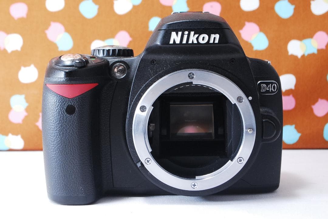 ✨ショット数3295回✨望遠レンズ付き✨Nikon D40 レンズセット