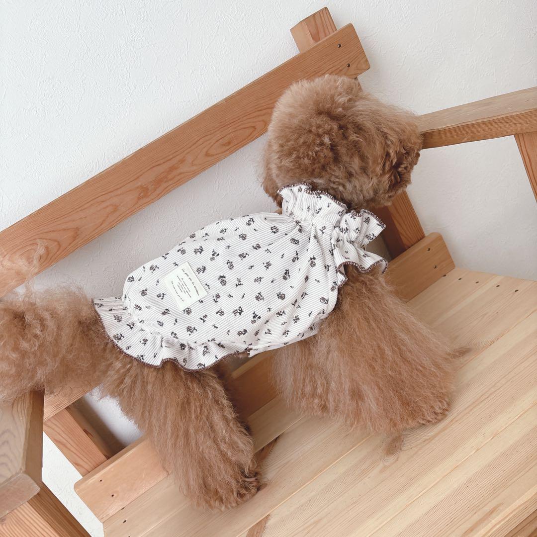 ハンドメイド 小花柄カムソンコーデュロイ 立ち襟バルーンチュニック