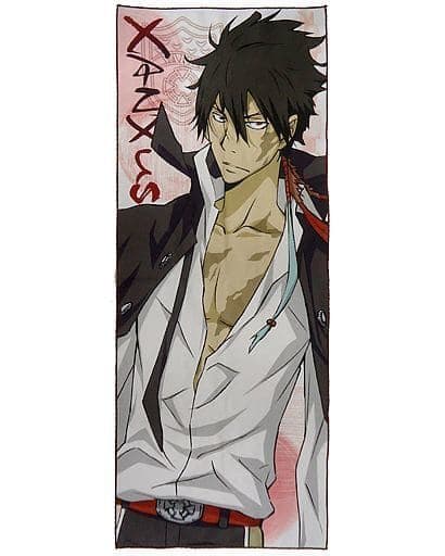 〖匿名配送〗リボーン ザンザス 大判タオル セット ジャンプフェスタ