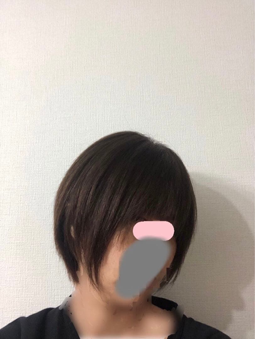 人毛王道ショートウィッグ ブラウン　未使用