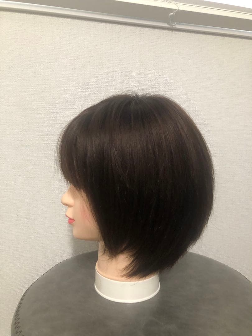 人毛王道ショートウィッグ ブラウン　未使用