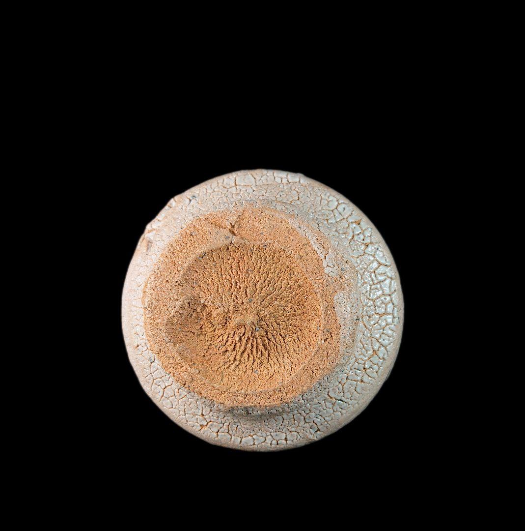 ■巨匠 西岡小十 絵唐津ぐい呑 『唐津焼の神様』 共箱、共布、栞、付属品全揃い