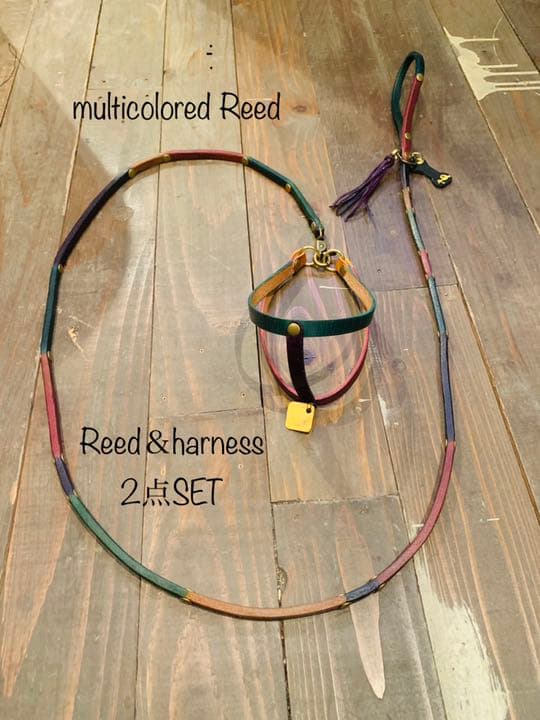 犬用【本革】multicolored リード＆ハーネス2点SET❣️ 犬 革 首輪 リードセット 名前入り 本革 カラフル カフェ リード 首輪